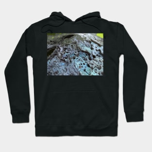 Abalone Shell Hoodie